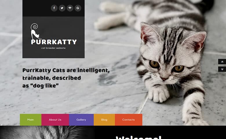 Purrkatty  Free Responsive Pet Website Templates