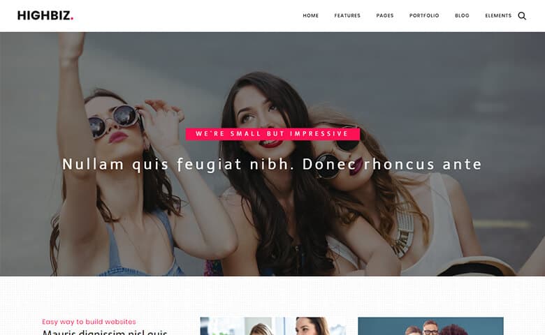 Highbiz  Responsive Multipurpose Website Template HTML5