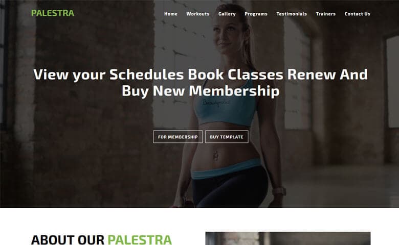 Palestra  Best Gym Websites Design HTML5 Template