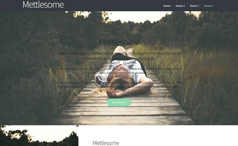Mettlesome - Responsive One-Page website template