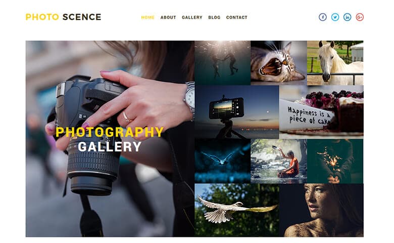 Photo Scence- Responsive Photography Website Template
