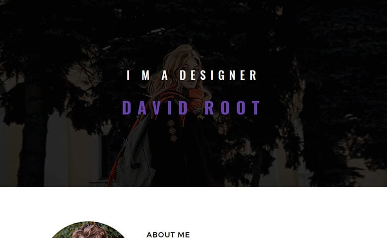 David-Root  Free Web Designer Portfolio Website Template