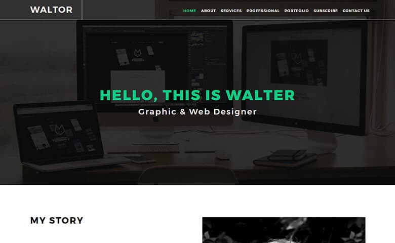 Walter-Hadon  Graphic design responsive portfolio website template