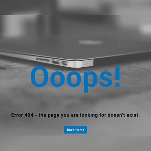Professional 404