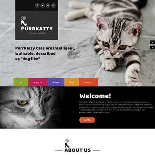 Purrkatty