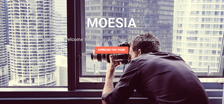 Moesia one page web template