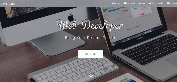 Developer