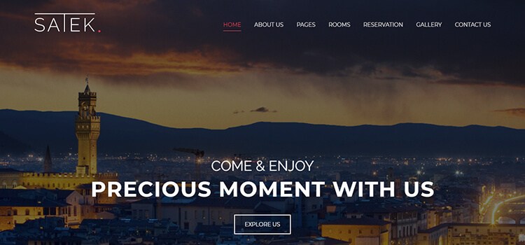 Satek Website Template